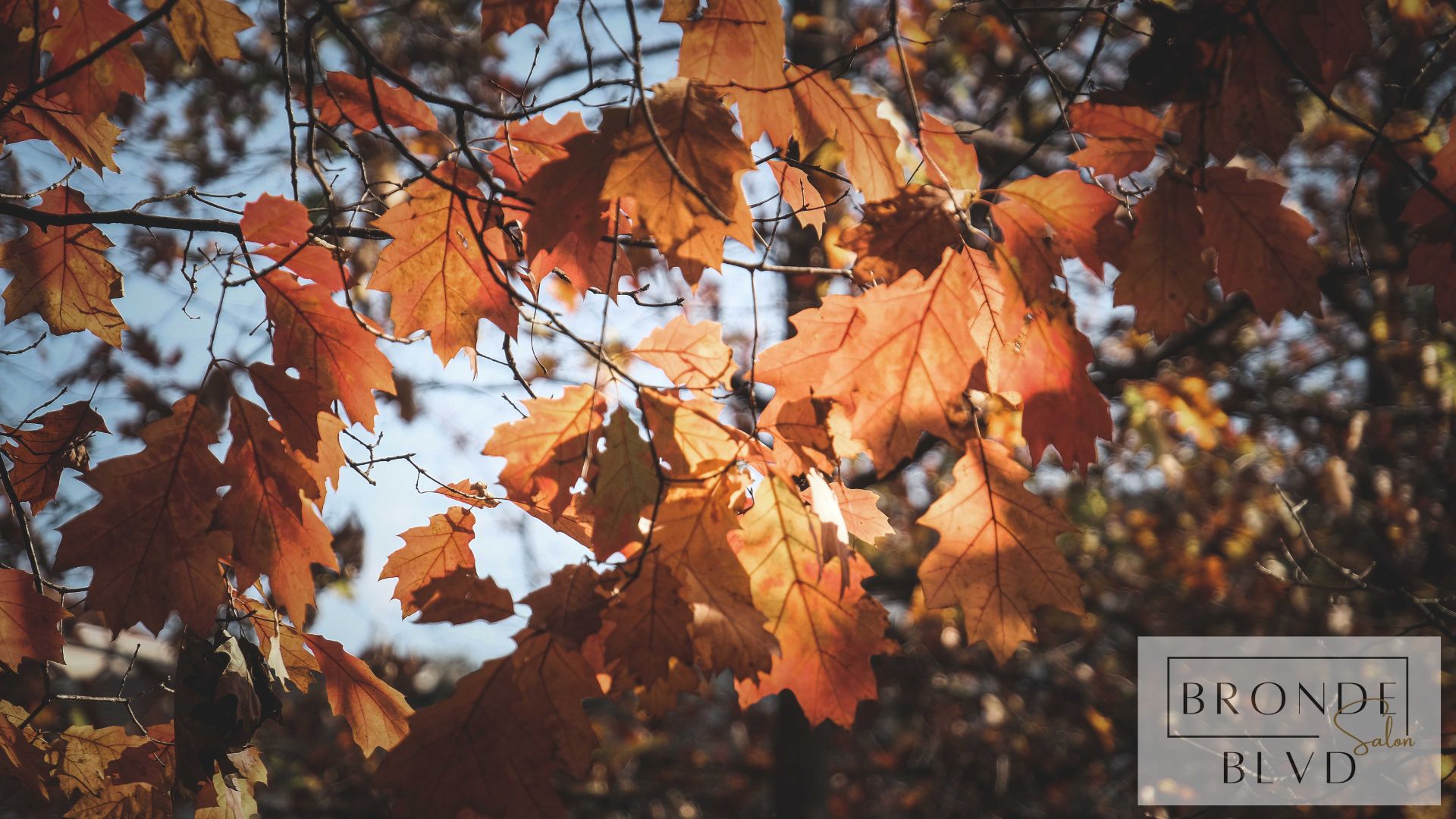 Protective Styles for Cooler Fall Weather